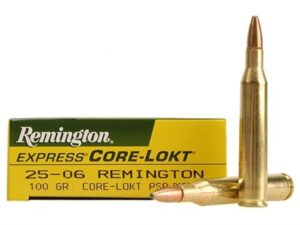 25-06 REMINGTON 100Grs PSP CORE-LOKT (20 ROUNDS)