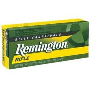 45-70 GOVT REMINGTON 300Grs SJHP (20 ROUNDS)