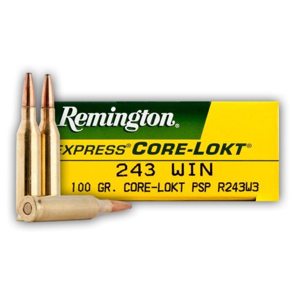 243 WIN REMINGTON 100Grs PSP (20 ROUNDS)